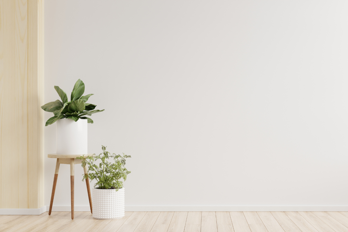 Minimalist Wall Planters: Green and Serene